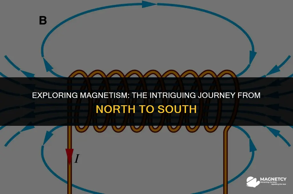 does magnetic field have a north to south