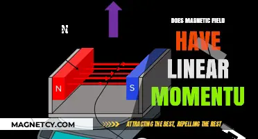 Exploring the Momentum Enigma: Do Magnetic Fields Carry Linear Momentum?