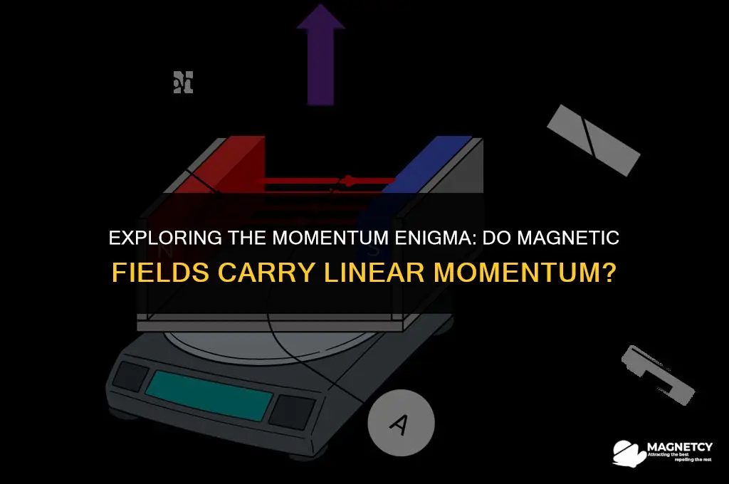 does magnetic field have linear momentum