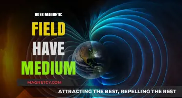 Exploring the Invisible: Do Magnetic Fields Require a Medium?