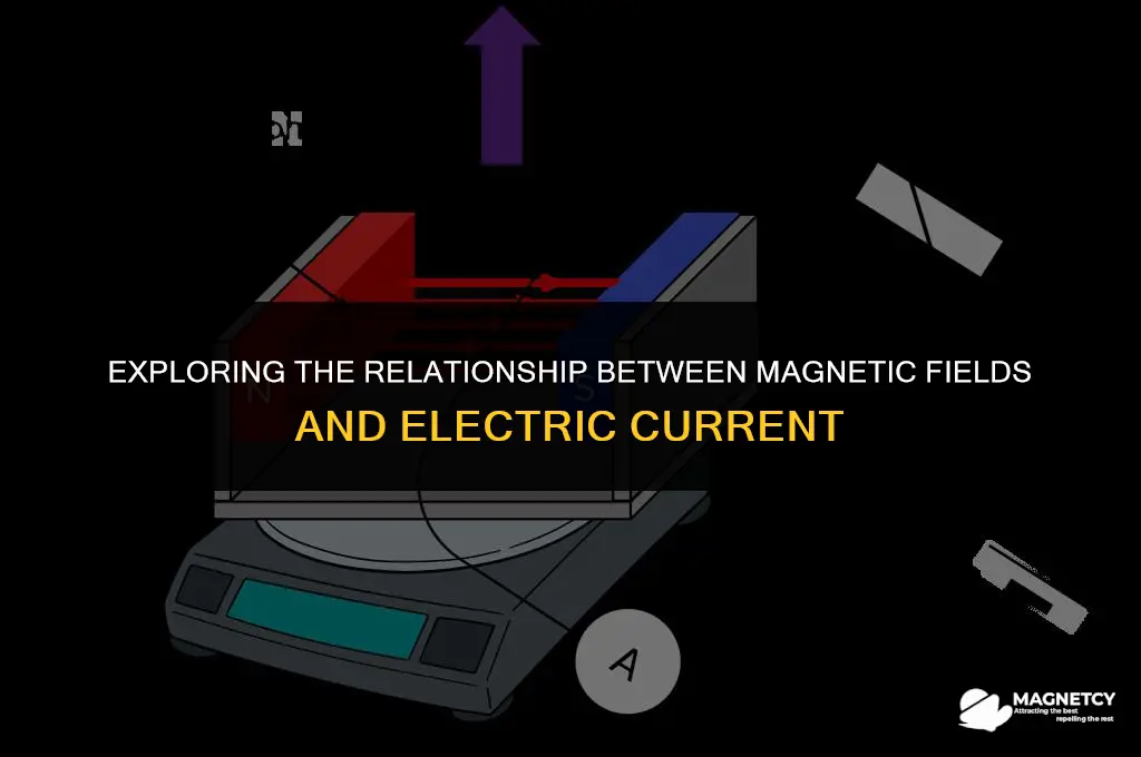 does magnetic field increase with current