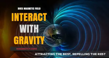 Exploring the Intriguing Relationship Between Magnetic Fields and Gravity