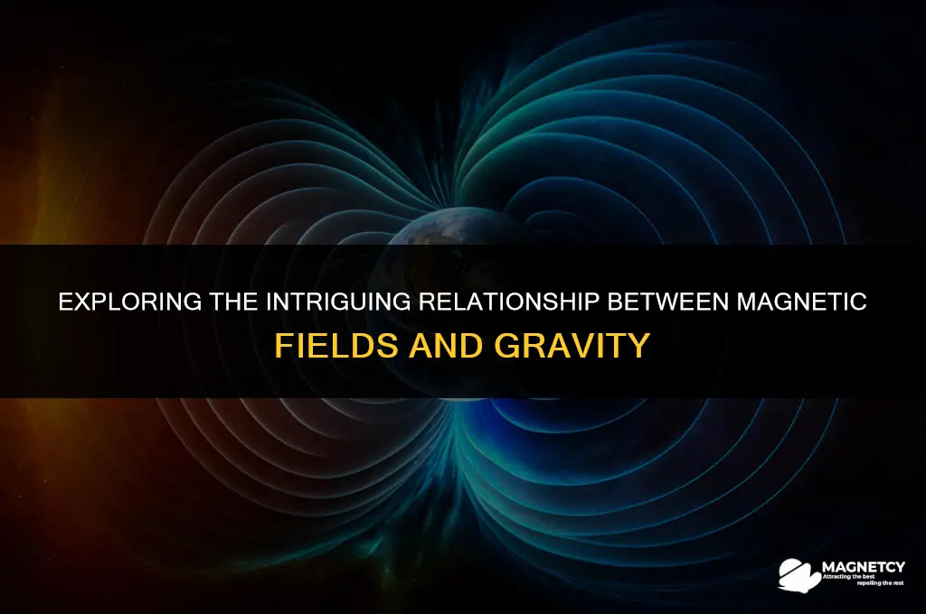 does magnetic field interact with gravity