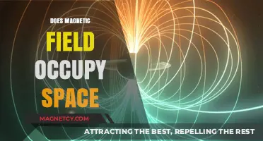 Exploring the Invisible: Does a Magnetic Field Occupy Space?