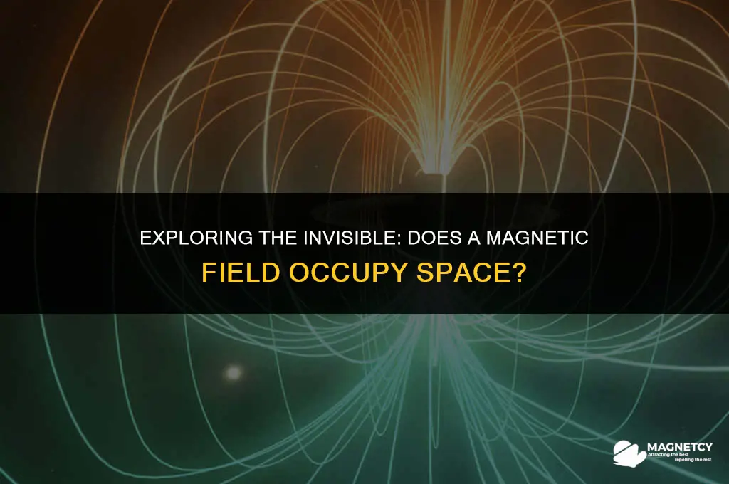 does magnetic field occupy space
