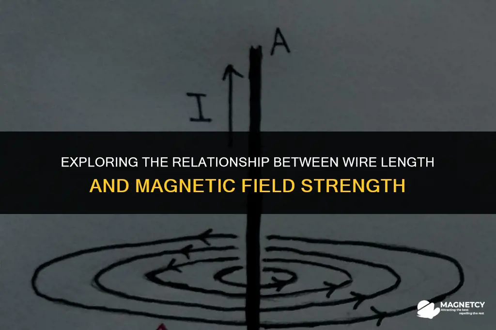does magnetic field of a wire depend on length