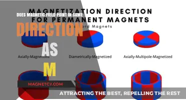 Exploring the Alignment: Do Magnetic Fields and 'M' Point the Same Way?