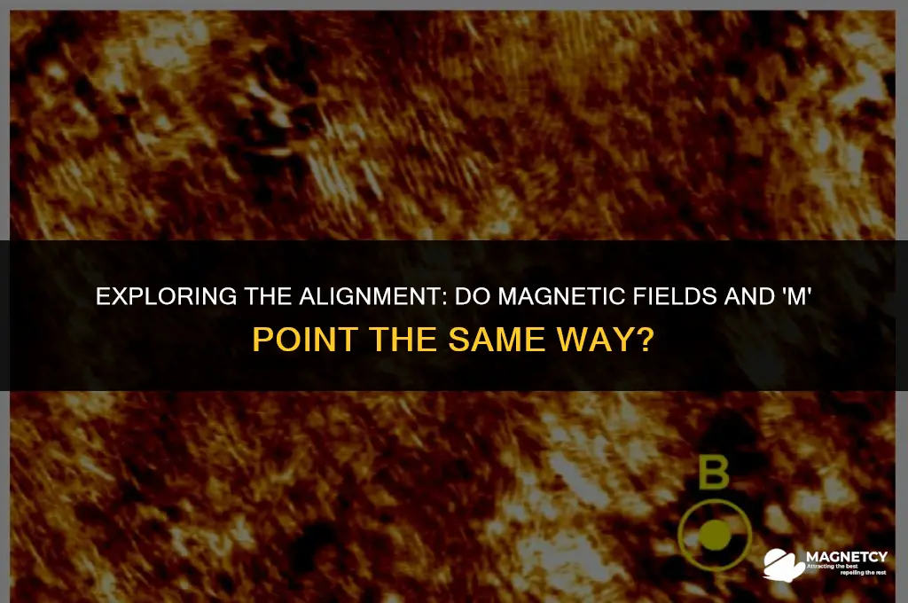 does magnetic field point in same direction as m