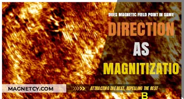 Exploring the Alignment: Magnetic Fields and Magnetization