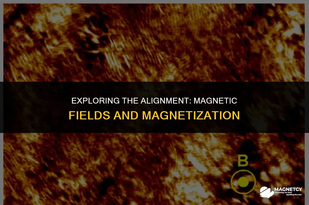 does magnetic field point in same direction as magnitization