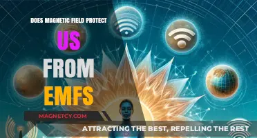 Shielding Ourselves: The Truth About Magnetic Fields and EMF Protection