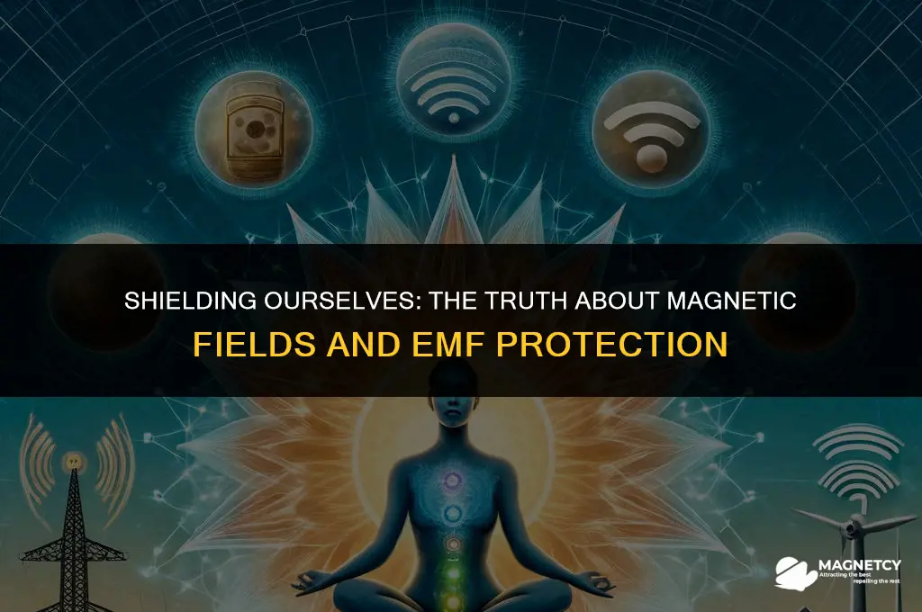 does magnetic field protect us from emfs