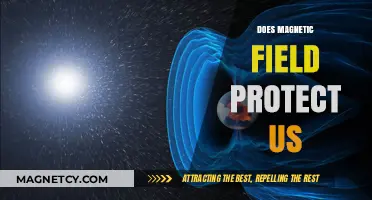 Shielded by Nature: Earth's Magnetic Field and Cosmic Protection