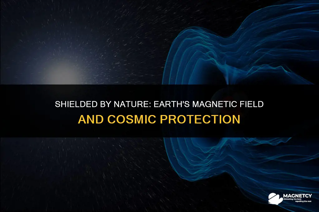 does magnetic field protect us