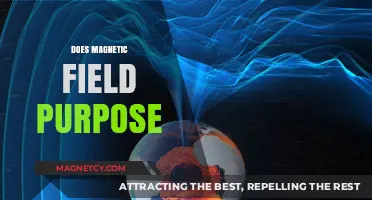 Exploring the Multifaceted Purposes of Magnetic Fields in Modern Science