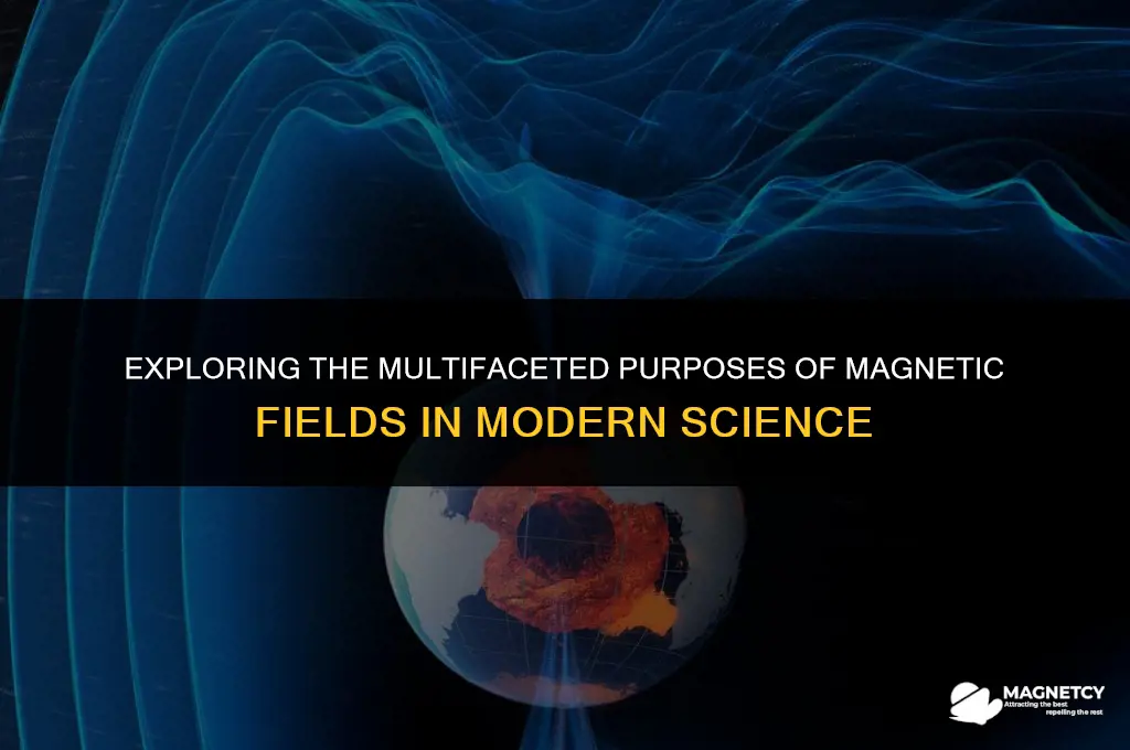 does magnetic field purpose
