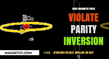 Exploring Parity Inversion: Does the Magnetic Field Hold the Key?