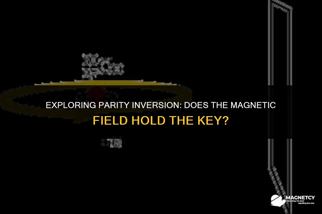 does magnetic field violate parity inversion