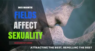 Exploring the Intriguing Link Between Magnetic Fields and Sexuality