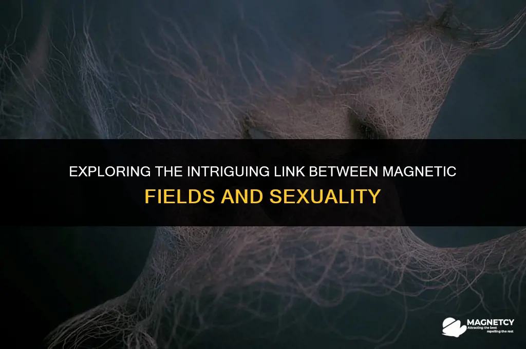 does magnetic fields affect sexuality
