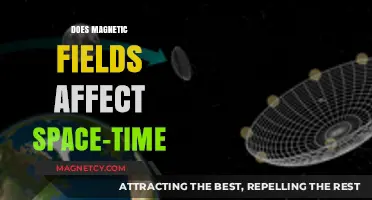 Exploring the Cosmic Dance: Magnetic Fields and Spacetime
