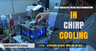 Exploring Momentum Conservation in Chirp Cooling Magnetic Fields