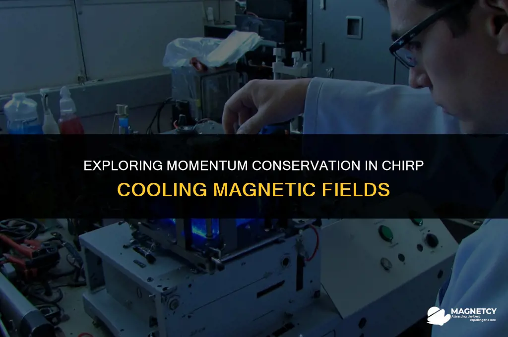 does magnetic fields hold momentum in chirp cooling