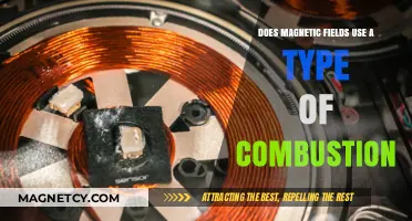 Magnetic Fields and Combustion: Unraveling the Energy Connection