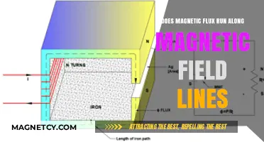 Exploring the Path of Magnetic Flux: A Field Line Journey