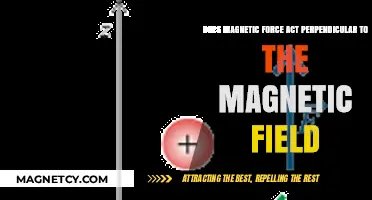 Exploring the Perpendicular Nature of Magnetic Forces and Fields
