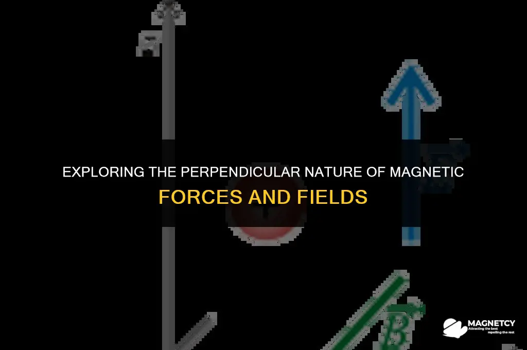 does magnetic force act perpendicular to the magnetic field
