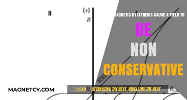 Exploring Magnetic Hysteresis: Implications for Field Conservation