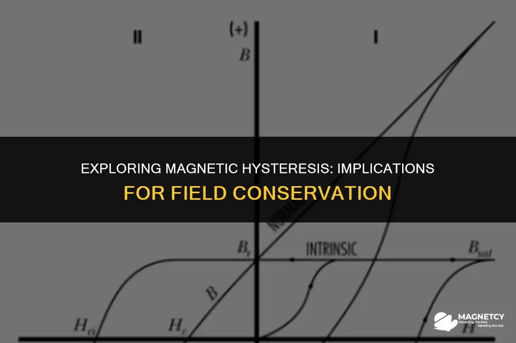 does magnetic hysteresis cause a field to be non conservative
