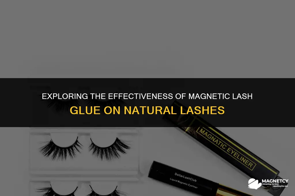 does magnetic lash glue work on regular lashes