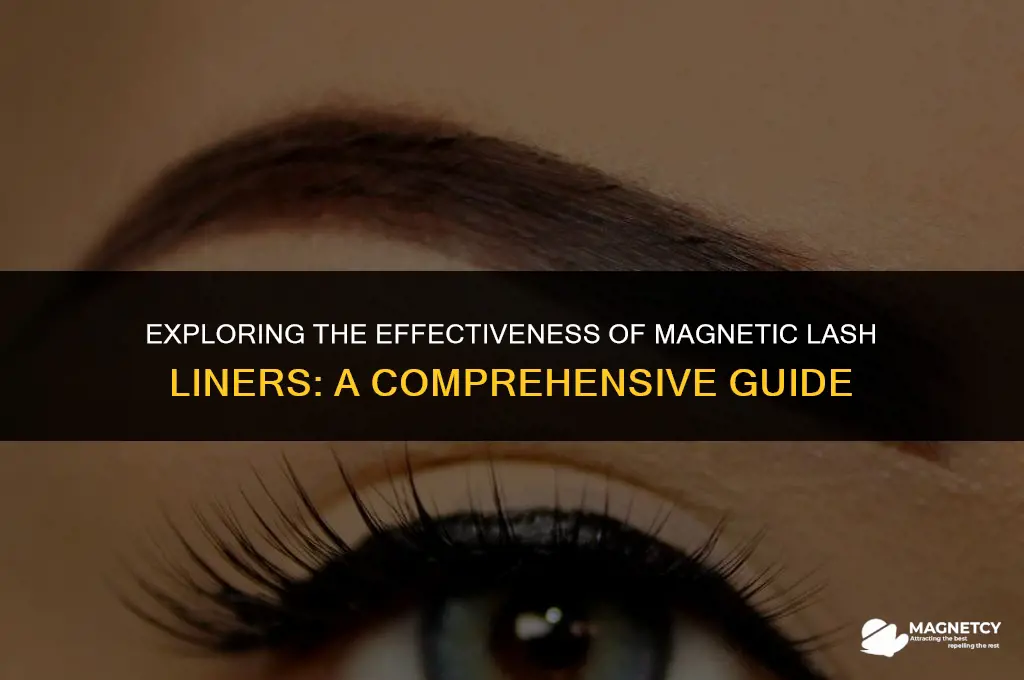 does magnetic lash liner work