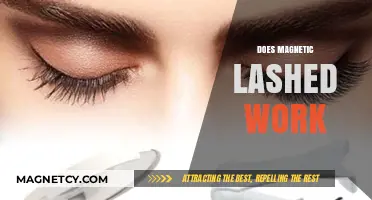 Exploring the Effectiveness of Magnetic Lashes: A Comprehensive Guide