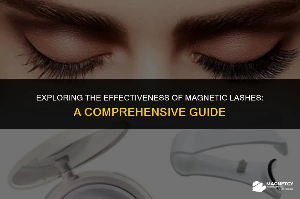 does magnetic lashed work