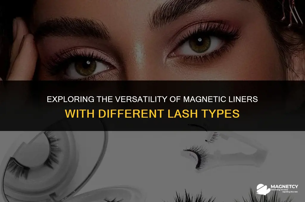 does magnetic liner work with any lashes