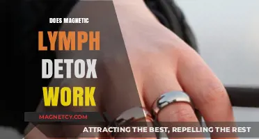 Exploring the Truth Behind Magnetic Lymph Detox: Does It Really Work?