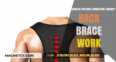 Exploring the Effectiveness of Magnetic Posture Therapy Back Braces