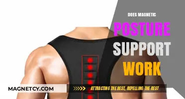Exploring the Effectiveness of Magnetic Posture Supports: A Comprehensive Guide