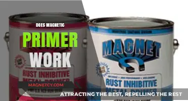 Unveiling the Truth: Does Magnetic Primer Really Work?