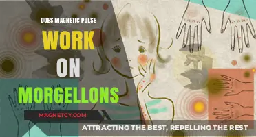 Exploring the Effectiveness of Magnetic Pulse Therapy on Morgellons Disease