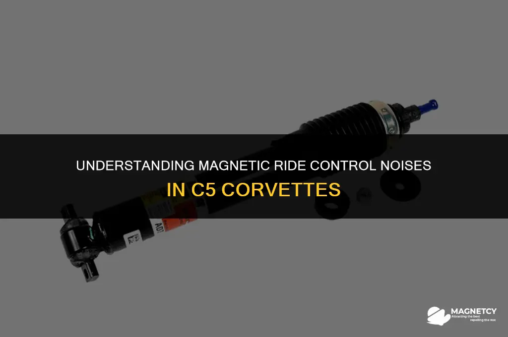 does magnetic ride control make a bumping noise c5 corvette
