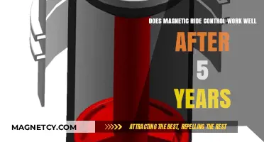 Longevity of Magnetic Ride Control: A 5-Year Performance Review