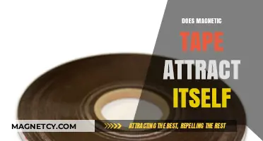 Does Magnetic Tape Attract Itself? Exploring Self-Adhesion Properties