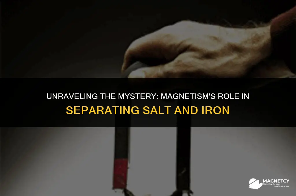 does magnetism work to separate salt and iron