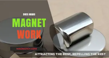Exploring the Effectiveness of Mako Magnets: A Comprehensive Guide
