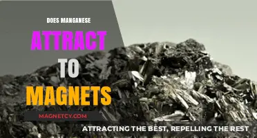 Does Manganese Attract to Magnets? Unveiling the Magnetic Properties of Manganese