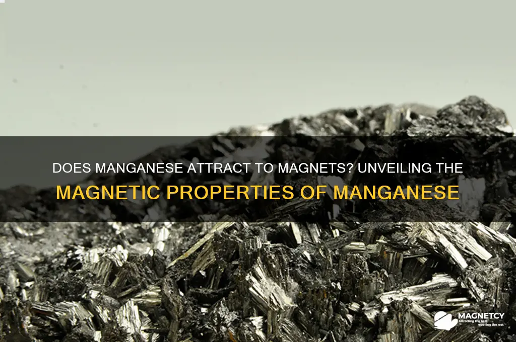 does manganese attract to magnets
